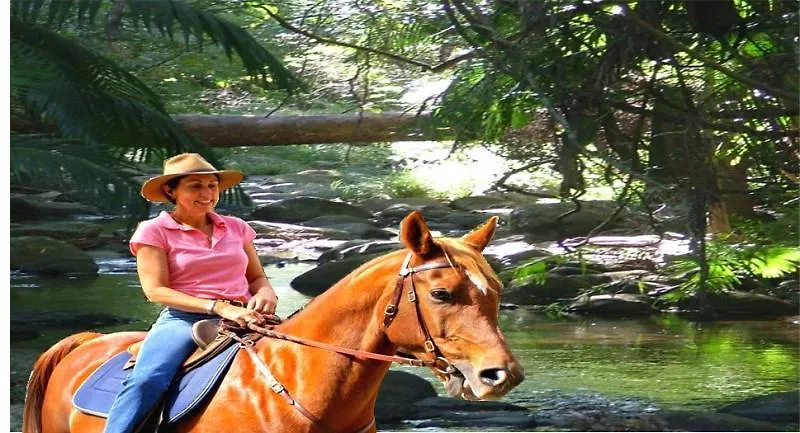 Cedar Creek Lodges Gold Coast